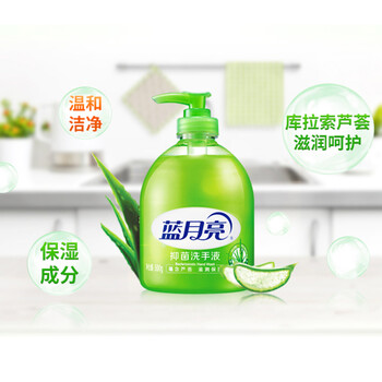 蓝月亮洗手液泡沫丰富滋润芦荟健康抑菌99.9%500g+洗手液补充装500g		