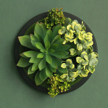 【下单5折】圆形仿真多肉植物壁挂 工业风挂墙壁挂绿植 酒吧墙面装饰