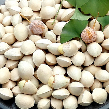 博多客 白果 银杏果 白果仁 又名开心果子 徐州邳州特产 新鲜蔬菜 农