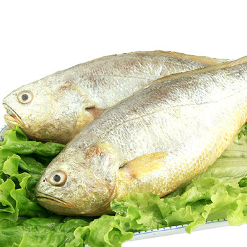 大渔场 大连冰鲜大黄花鱼 约600g/条/ 袋装