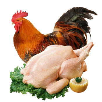 依禾农庄土鸡公鸡农家散养新鲜宰杀鸡柴鸡童子鸡整鸡15kg只整只装