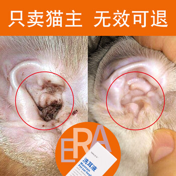 猫咪滴耳液除猫耳螨猫用耳朵清洁洗耳液猫耳油