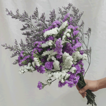 家居摆设 小清新大束干花混搭花束勿忘我鲜花装饰 浅紫勿 白勿 情人草