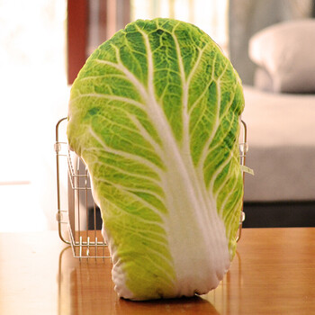 仿真白菜抱枕蔬菜抱枕靠垫创意食物西兰花抱枕毛绒玩具生日礼物女 大