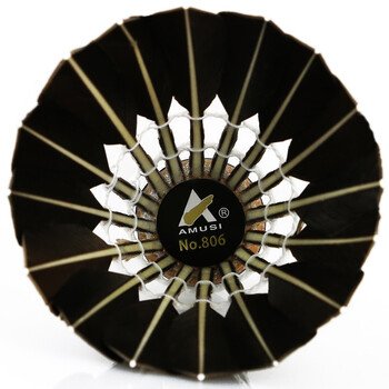 阿姆斯AMUSI羽毛球 耐打 黑鹅毛 比赛训练1筒12只装