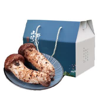 云南特产新鲜松茸菌野生菌松茸中秋礼盒500g新鲜菌菇蔬菜