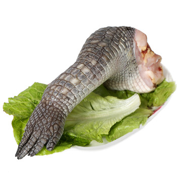 爱食派 海南鲜冻带皮鳄鱼掌 整只 500g以上鳄鱼肉 生态养殖