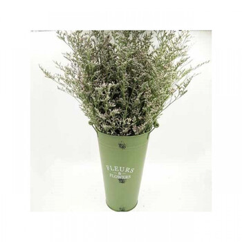 节花康鲜花新娘料包创意永生花配件满天星粉色毕业 情人草一斤不含瓶