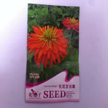 草花种子：播种美好春天的到来
