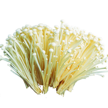 绿源禾心 金针菇 约400g 新鲜蔬菜_ 9折现价16元