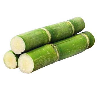 青樱红荔浙江温州陶山甘蔗25kg青皮甘蔗新鲜水果两箱