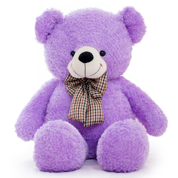6米超大公仔泰迪熊熊猫公仔生日礼物女生 紫色简爱熊 60厘米