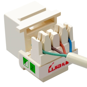 礼嘉（LIJIA）LJ-MB088 电话RJ11语音模块+RJ45超五类网络镀金模块+86型双口面板 模块面板工程布线组合套装