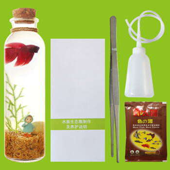 白领公社 迷你鱼缸 观赏鱼缸生态瓶小鱼缸造景