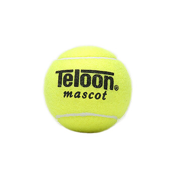 天龙（Teloon）网球训练习用球初学者入门训练球 801袋装
