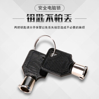 连拓 笔记本电脑锁 安全防盗钥匙锁 标准锁孔 适用联想华硕ThinkPad微星机械革命通用锁 1.8米 N101A