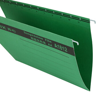 齐心(Comix) 25个易查找吊挂夹文件夹 A4 纸质资料夹 绿 A1812 齐心(Comix) 25个易查找吊挂夹文件夹 A4 纸质资料夹 绿 A1812