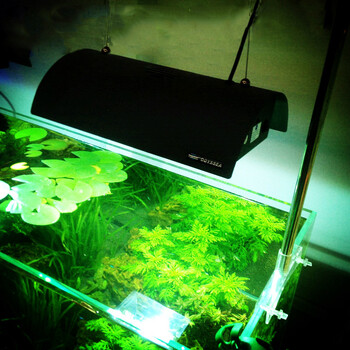 奥德赛水族金属卤素灯海水珊瑚鱼缸水草灯专业水草金卤灯水族箱鱼缸夹