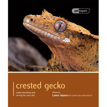 crested gecko: understanding and caring for your
