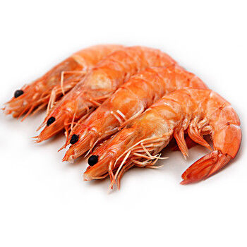 【冷美人】冷美人哪款好?看实拍,买好货!- 京东优评