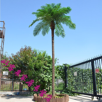 大型仿真棕榈树真树杆假椰树风景树酒店室内外装饰假 椰子果一串5个果