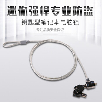 连拓 笔记本电脑锁 安全防盗钥匙锁 标准锁孔 适用联想华硕ThinkPad微星机械革命通用锁 1.8米 N101A