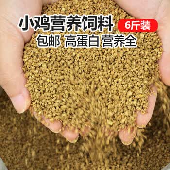雏鸡饲料