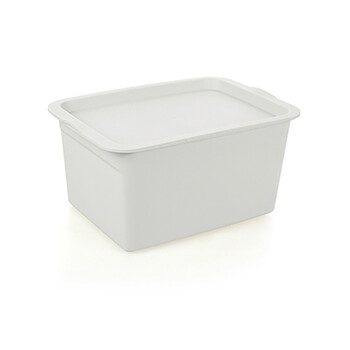 储物箱内衣物整理箱 玩具化妆品收纳盒 小号白色