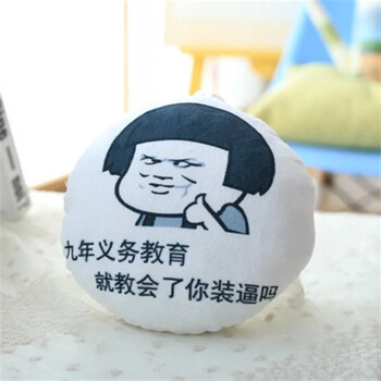 表情包暴走漫画搞笑抱枕创意生日礼物女玩偶 九年义务教育 20厘米圆形