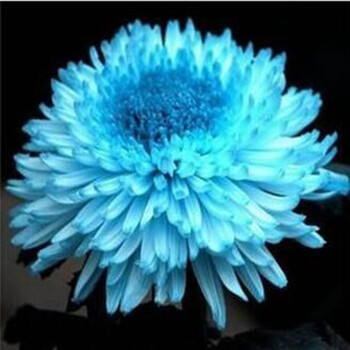 梅花 竹子 菊花 兰花 御春阁旗舰店梅花 竹子 菊花 兰花 价格 图片 怎么样 御春阁旗舰店 梅花 竹子 菊花 兰花 御春阁旗舰店梅花 竹子 菊花 兰花 价格 图片 怎么样 御春阁旗舰店