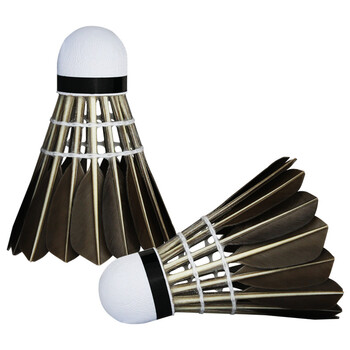 阿姆斯AMUSI羽毛球 耐打 黑鹅毛 比赛训练1筒12只装