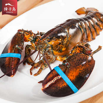 獐子岛海鲜 新鲜美味