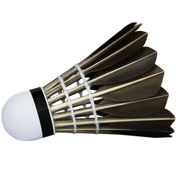 阿姆斯AMUSI羽毛球 耐打 黑鹅毛 比赛训练1筒12只装