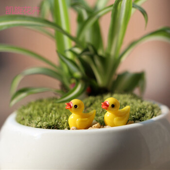 沃绣多肉植物装饰小摆件微景观配件小饰品多肉套餐手工diy材料小黄鸭 图片价格品牌报价 京东 沃绣多肉植物装饰小摆件微景观配件小饰品多肉套餐手工diy材料小黄鸭 图片价格品牌报价 京东