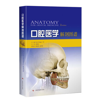口腔医学解剖图谱排行- 京东