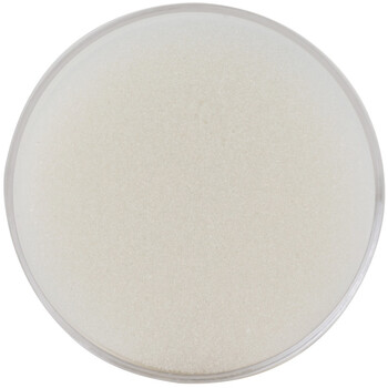 【超级爆款】得力(deli)实用办公透明海绵缸 财务点钞湿手器 单只装 财务用品 9102