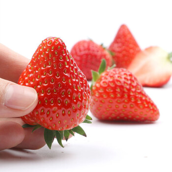 帆儿庄园现发四季草莓烘焙奶油蛋糕草莓新鲜草莓水果大草莓 2斤大果