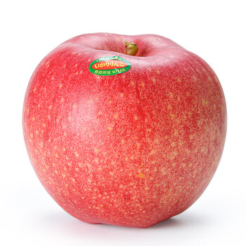 日本世界一号大苹果1个 圣诞平安果礼盒 平安夜送礼 进口新鲜水果