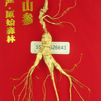 06600一等参 15g左右  编号ss201622425拍卖已结束06301一等参 18