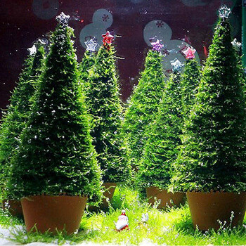 活体莫斯树真水草莫斯圣诞树观赏鱼缸水族箱造景装饰摩丝满额 三角