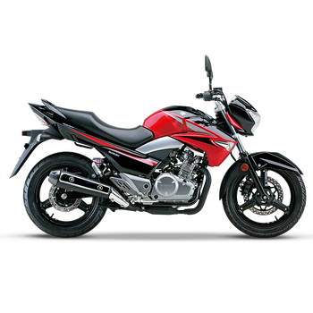 豪爵铃木骊驰gw250炫动版-双缸水冷电喷250cc摩托车-定金 星光黑-定金