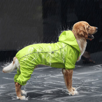 狗狗雨衣 大狗衣服大型犬中型犬金毛衣服狗狗寵物雨披四腳衣服裝 綠色