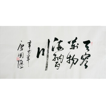 中国书法家协会会员 唐国强 《天容万物》