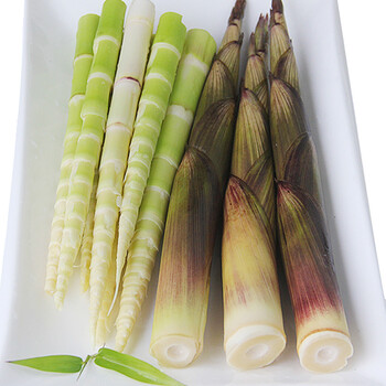 湖南特产 现挖新鲜小春笋 野生小竹笋尖青笋笋子 带壳 2.5kg