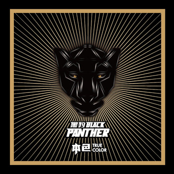 黑豹乐队cd - 京东