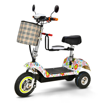 小海豚成人代驾单车折叠电动车自行车小型迷你三轮女士助力车自行车