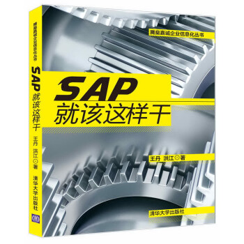 腾燊嘉诚企业信息化丛书：SAP就该这样干