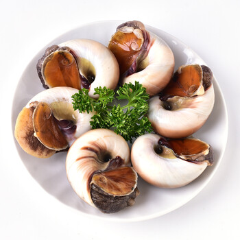 威海孙小乔海鲜 鲜活小香螺 荸荠 玉螺 海鲜 20个左右/500g_ 7折现价