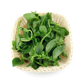 孙桥 田七叶 三七叶 约260g 新鲜蔬菜