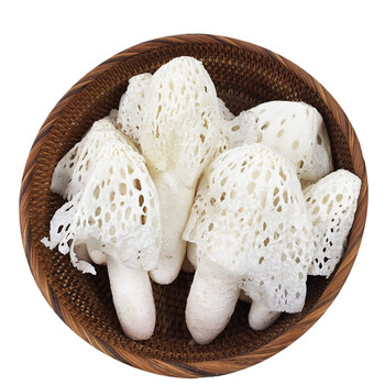 蔬菜 鲜菌菇 东源兴 东源兴竹荪菌